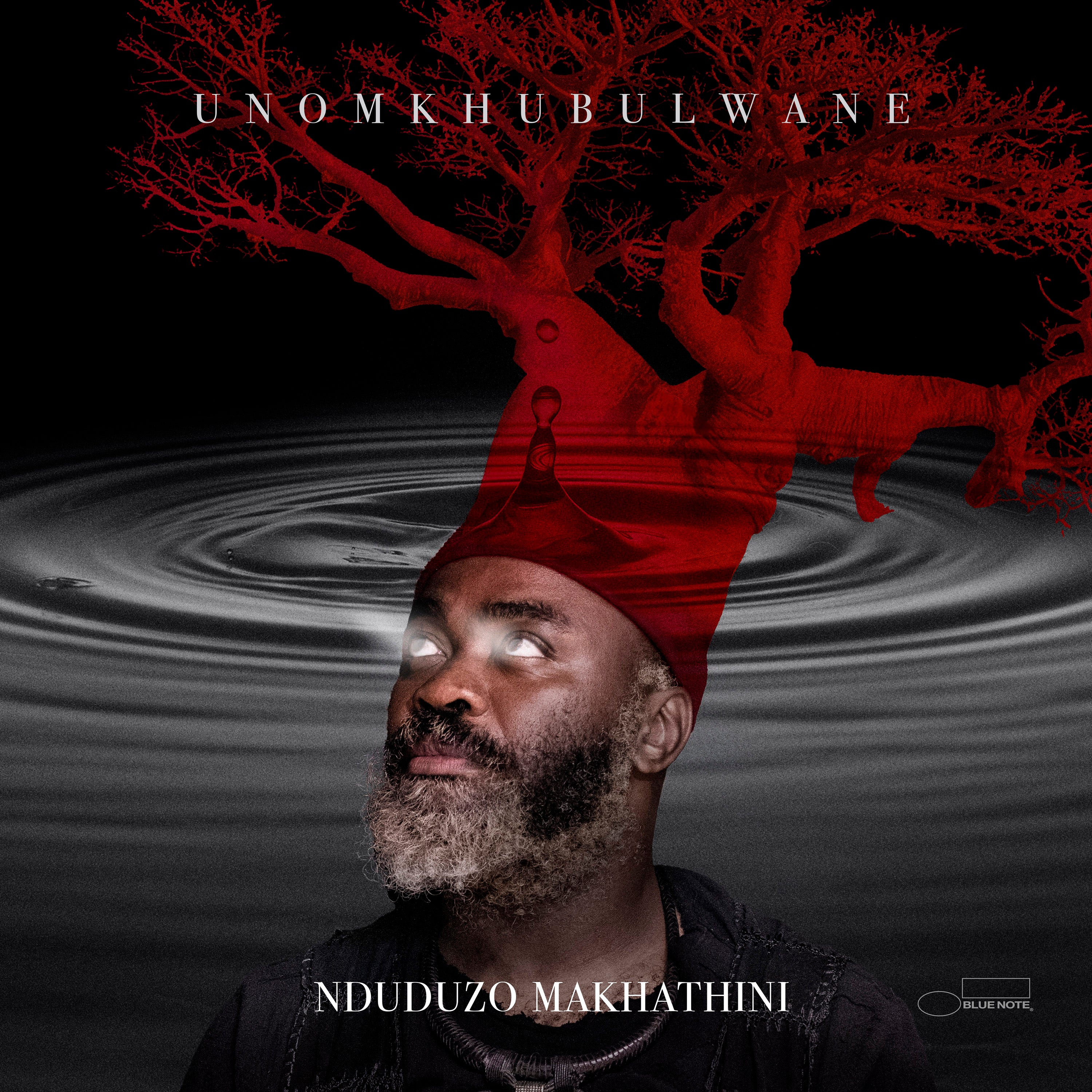 Nduduzo Makhathini - uNomkhubulwane (Standard 2LP) - UMG Africa