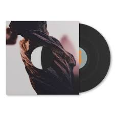 Pixies - The Night the Zombies Came (Standard 1LP) - UMG Africa