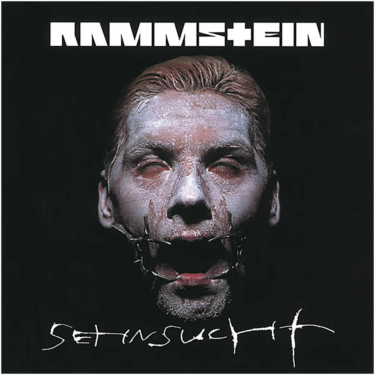 RAMMSTEIN - SEHNSUCHT (2LP)