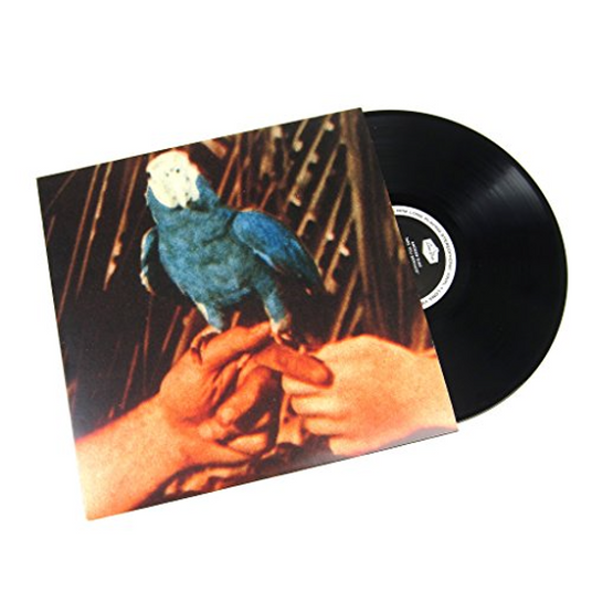 Andrew bird - Are you serious (lp) - UMG Africa