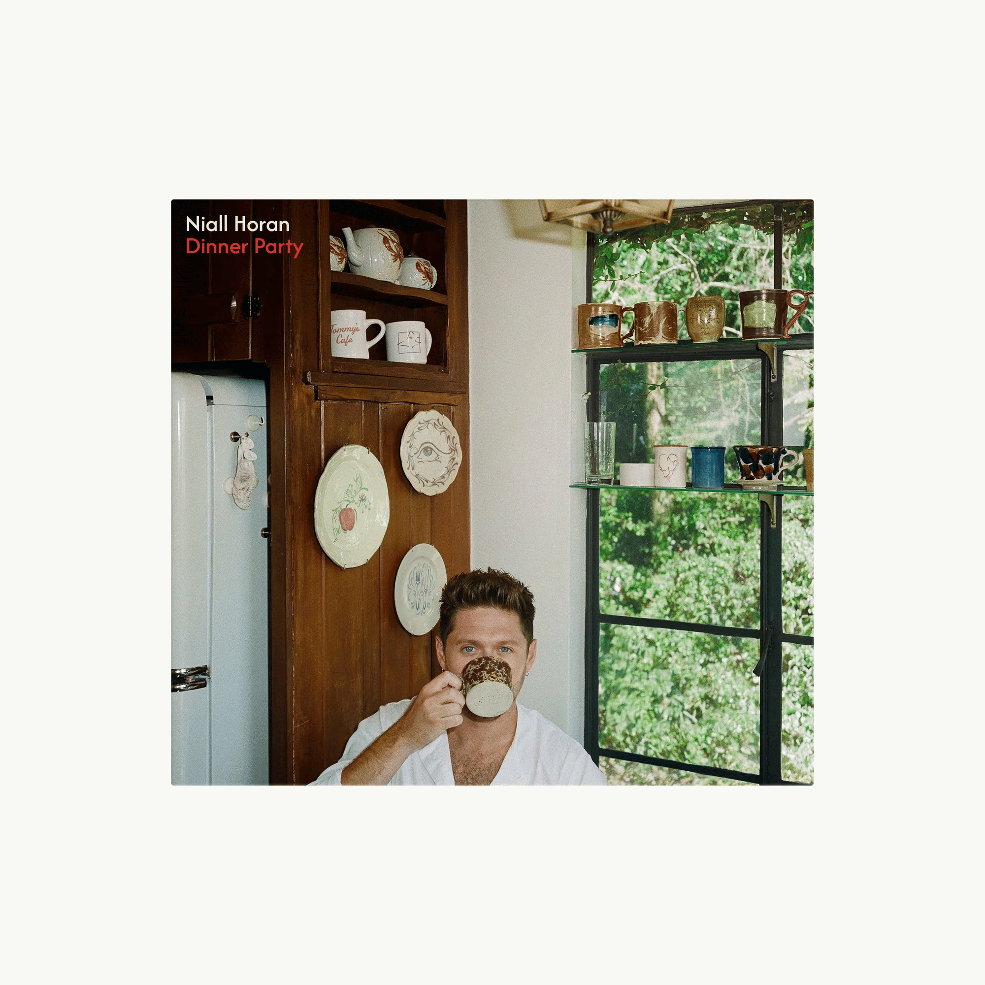 NIALL HORAN - DINNER PARTY (STANDARD CD - 1CD) - UMG Africa
