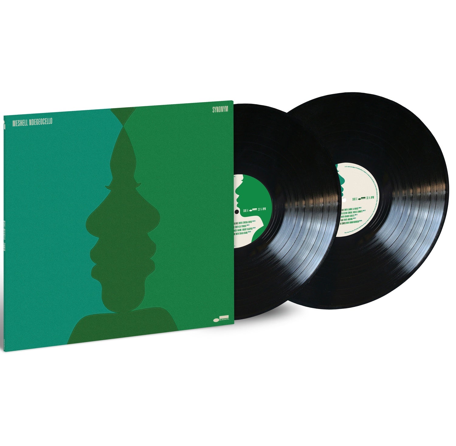 MESHELL NDEGEOCELLO - SYNONYM
