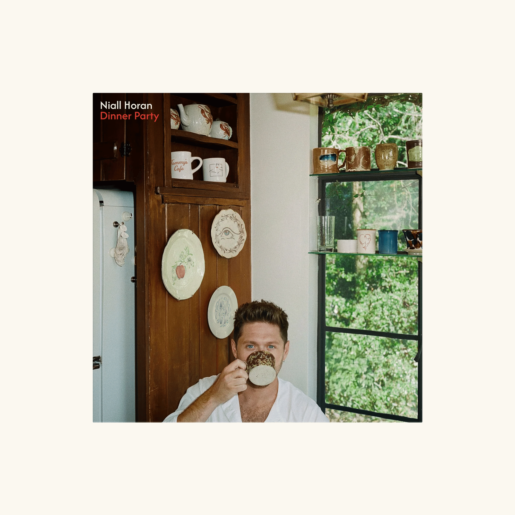 NIALL HORAN - DINNER PARTY (STANDARD VINYL - 1LP) - UMG Africa