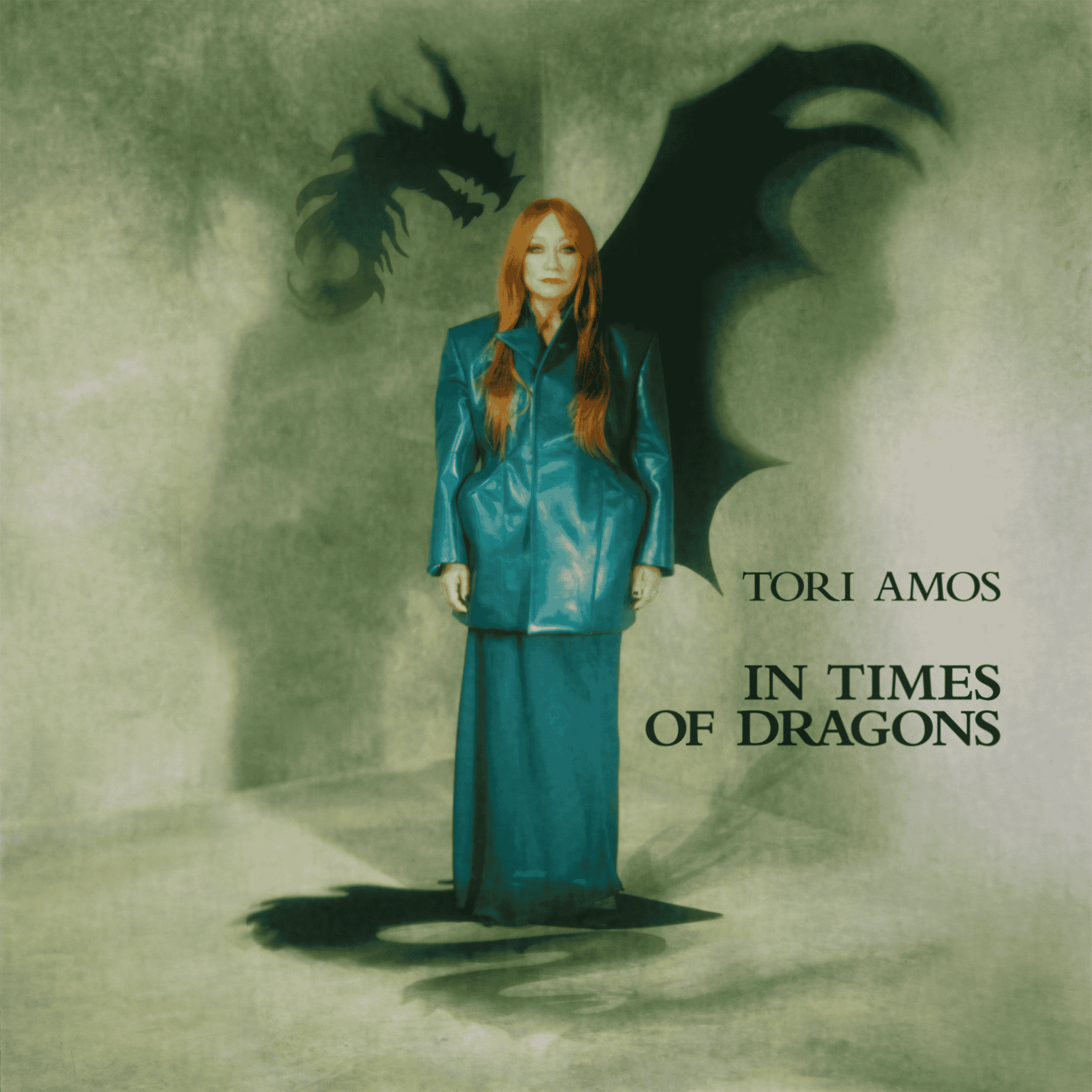 TORI AMOS - IN THE TIME OF DRAGONS (STANDARD 2CD)